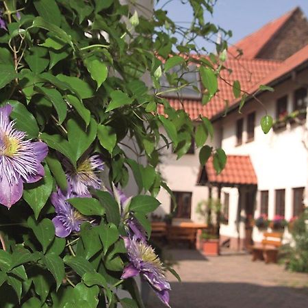 Pension Gaestehaus Kachelofa Vaihingen an der Enz Exterior photo